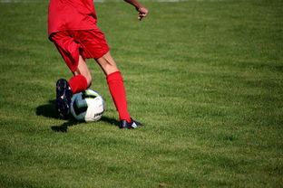 vwin.com-英超青训体系心理压力管理提升年轻球员稳定表现,英超球员训练时间